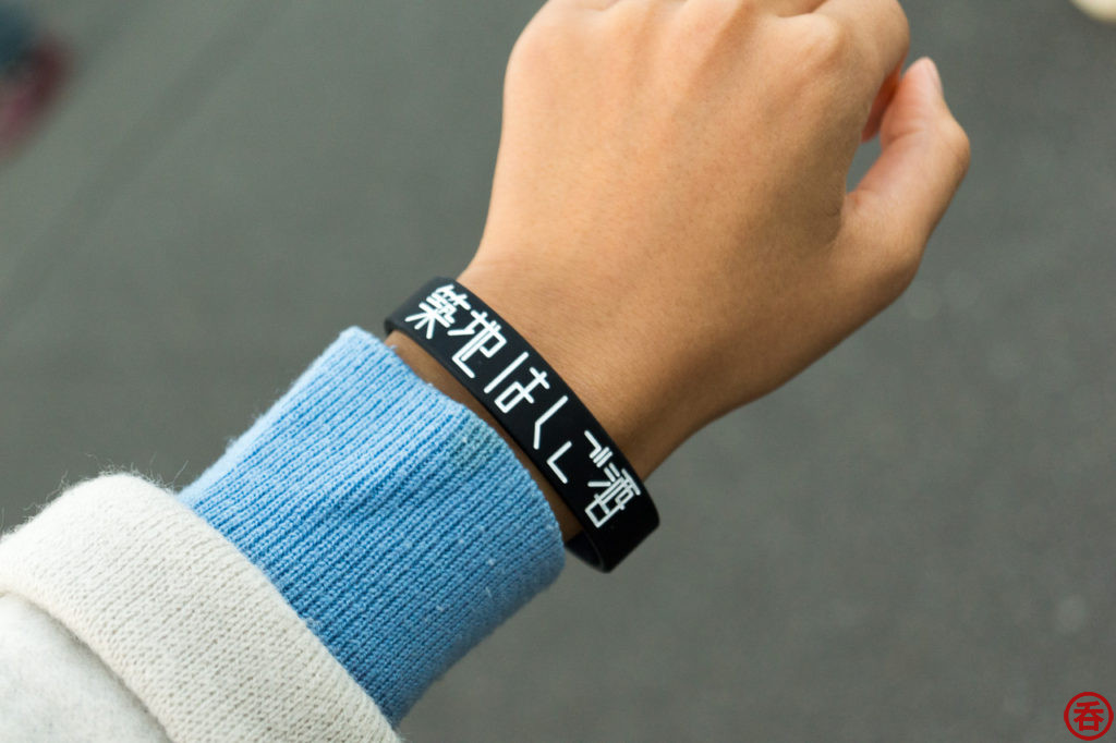 Wristband system